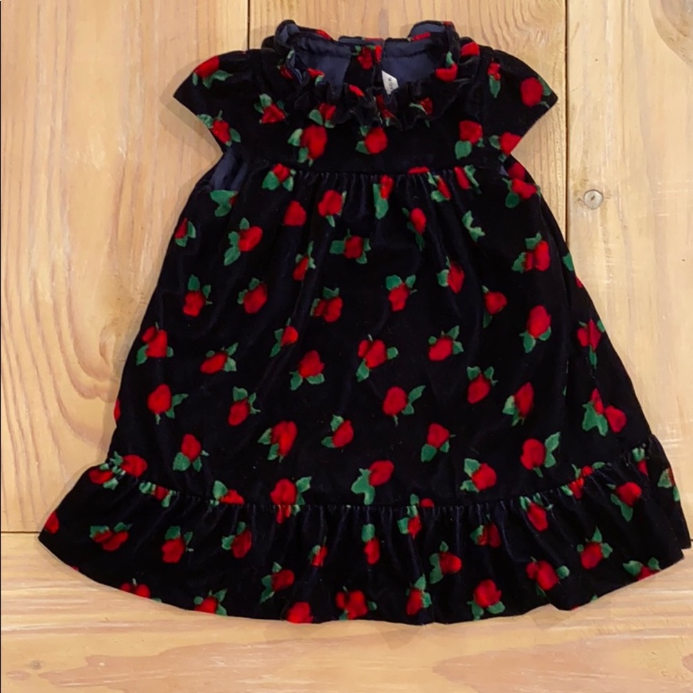 Beautiful velvet dress Janie and Jack